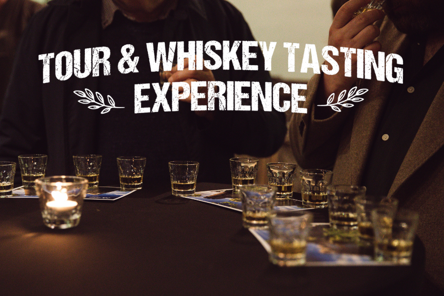 Tour & Whiskey Tasting Experience at Malahide Castle and Gardens