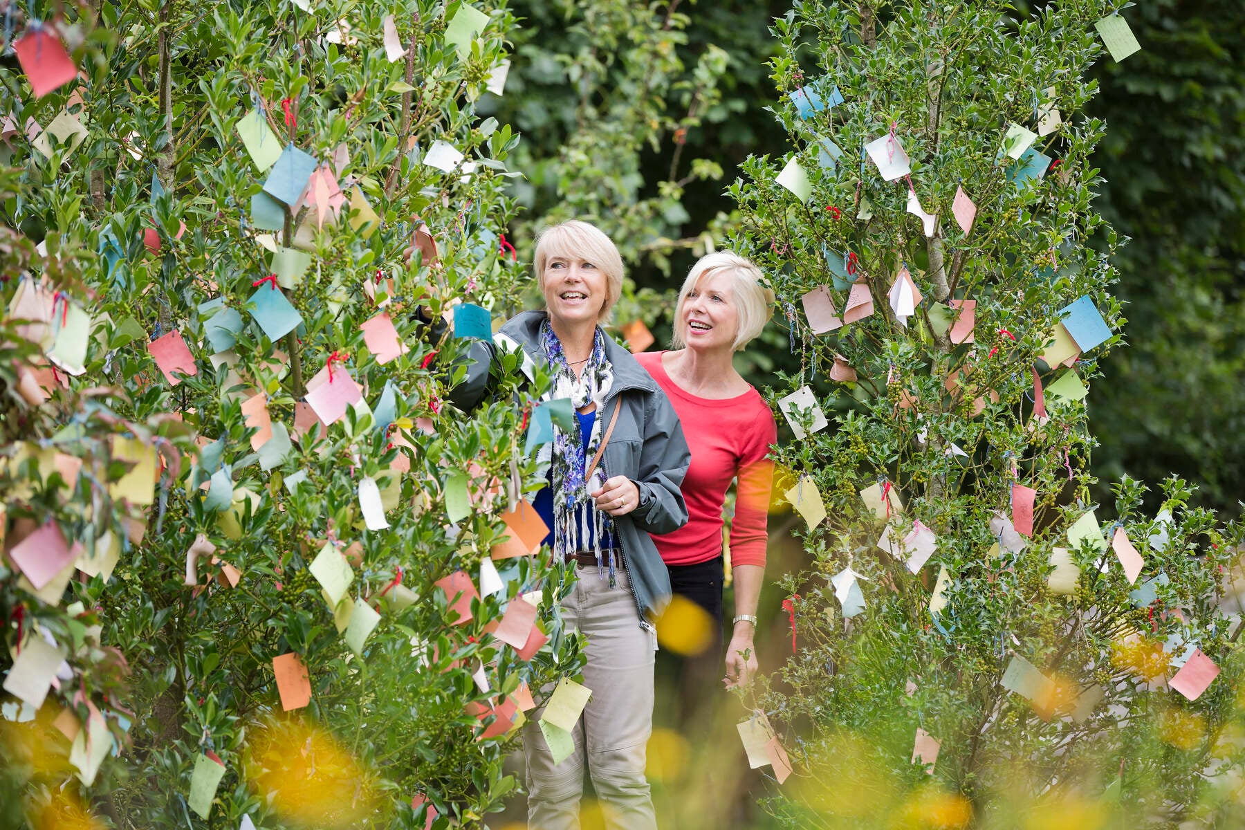 Two women exploring Brigit's Garden in Galway.