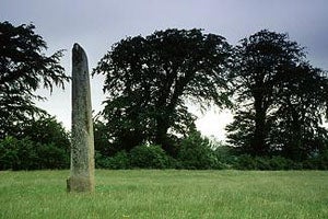 Punchestown Standing Stones
