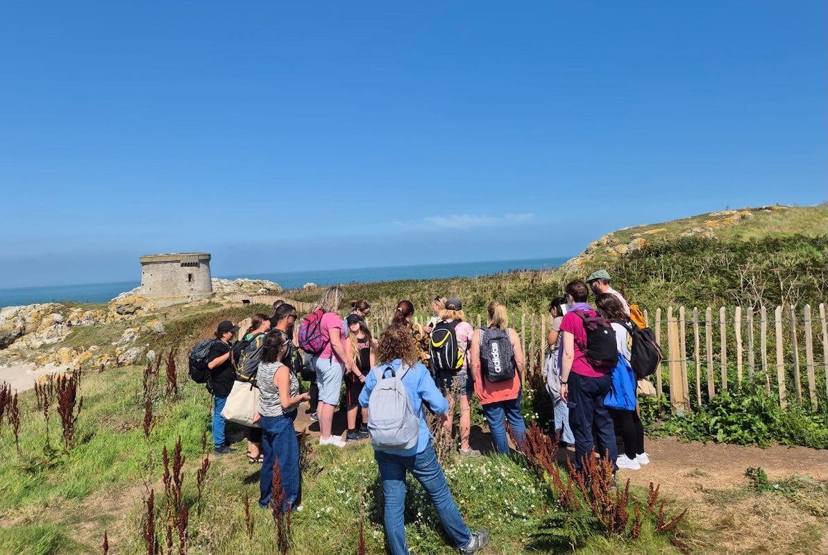 Foraging Tour on Ireland's Eye, Howth Co. Dublin