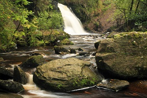 Silver River Nature Loop Walk