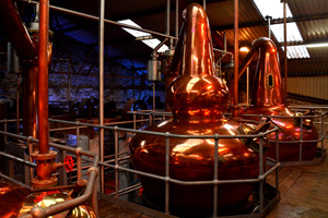 A copper still in a whiskey distillery