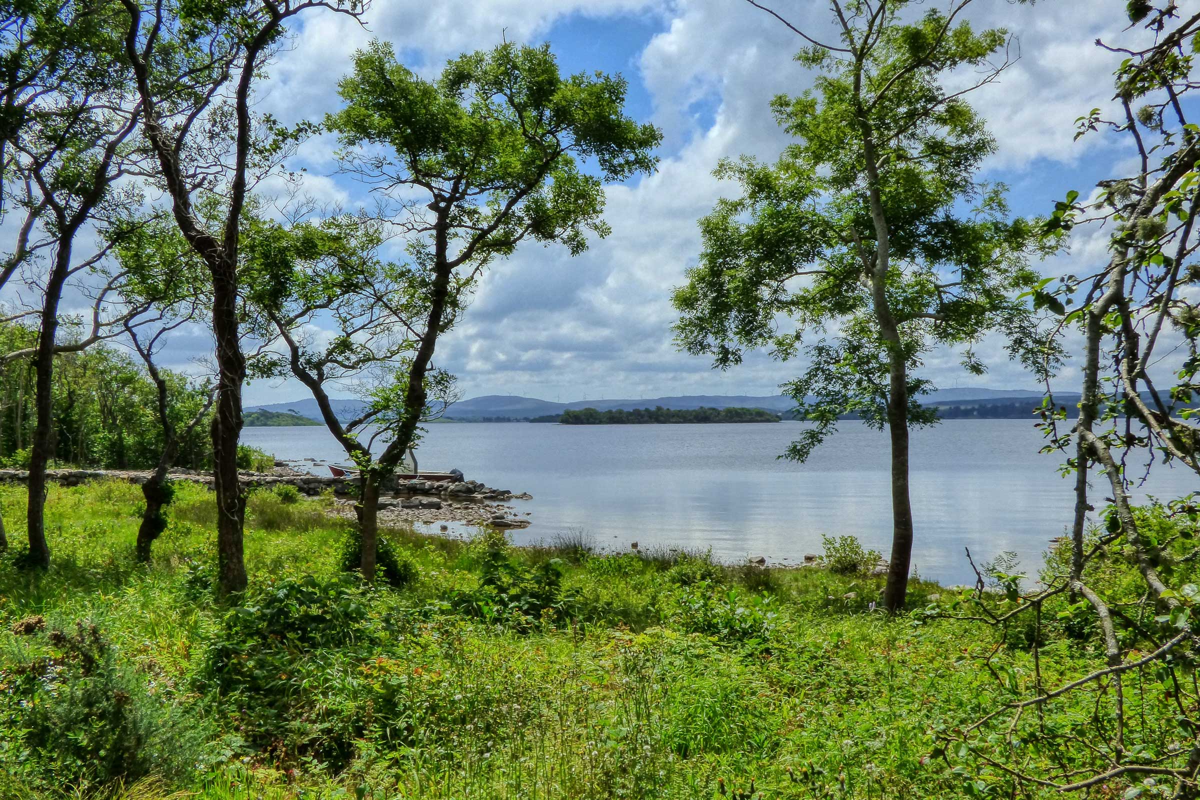 View of Lough Corrib from Inchagoill Island, County Galway