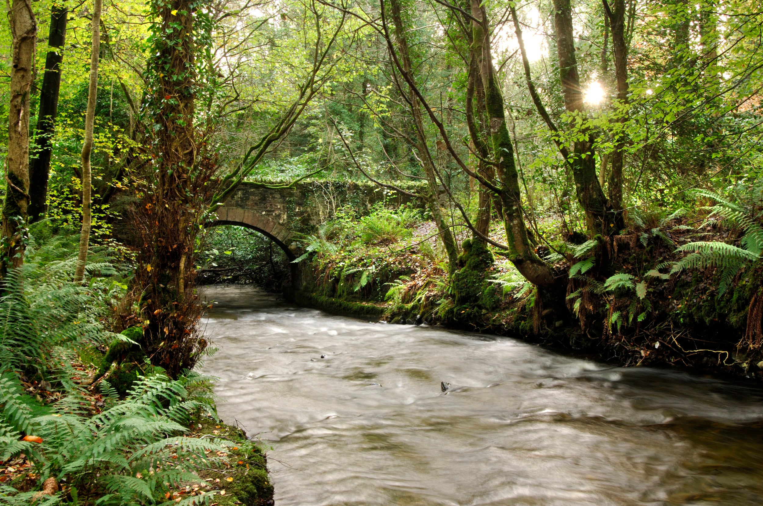 Bridge over a stream in Dun Na Ri Forest Park.