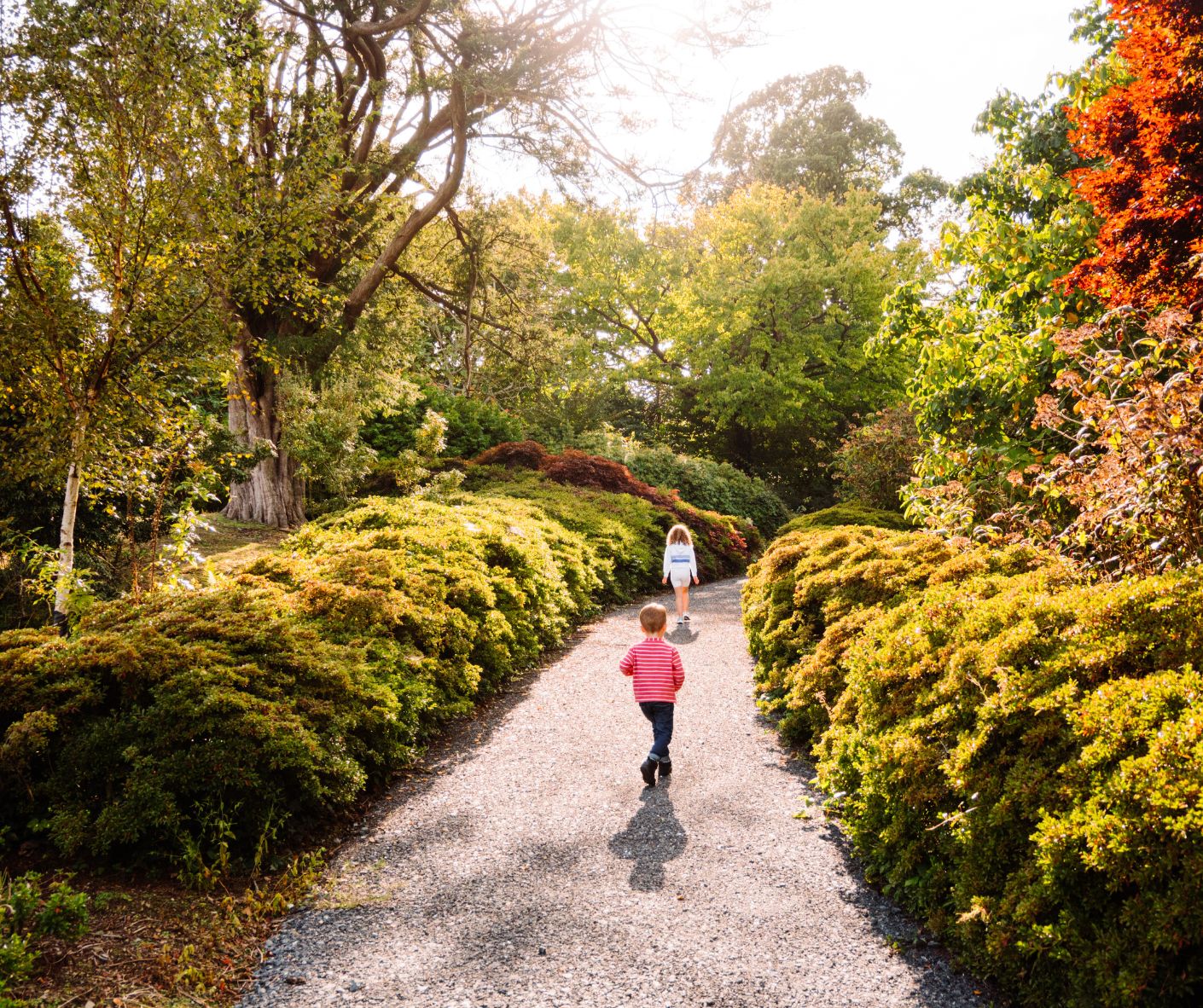 Kids walking in autumn at Mount Congreve.