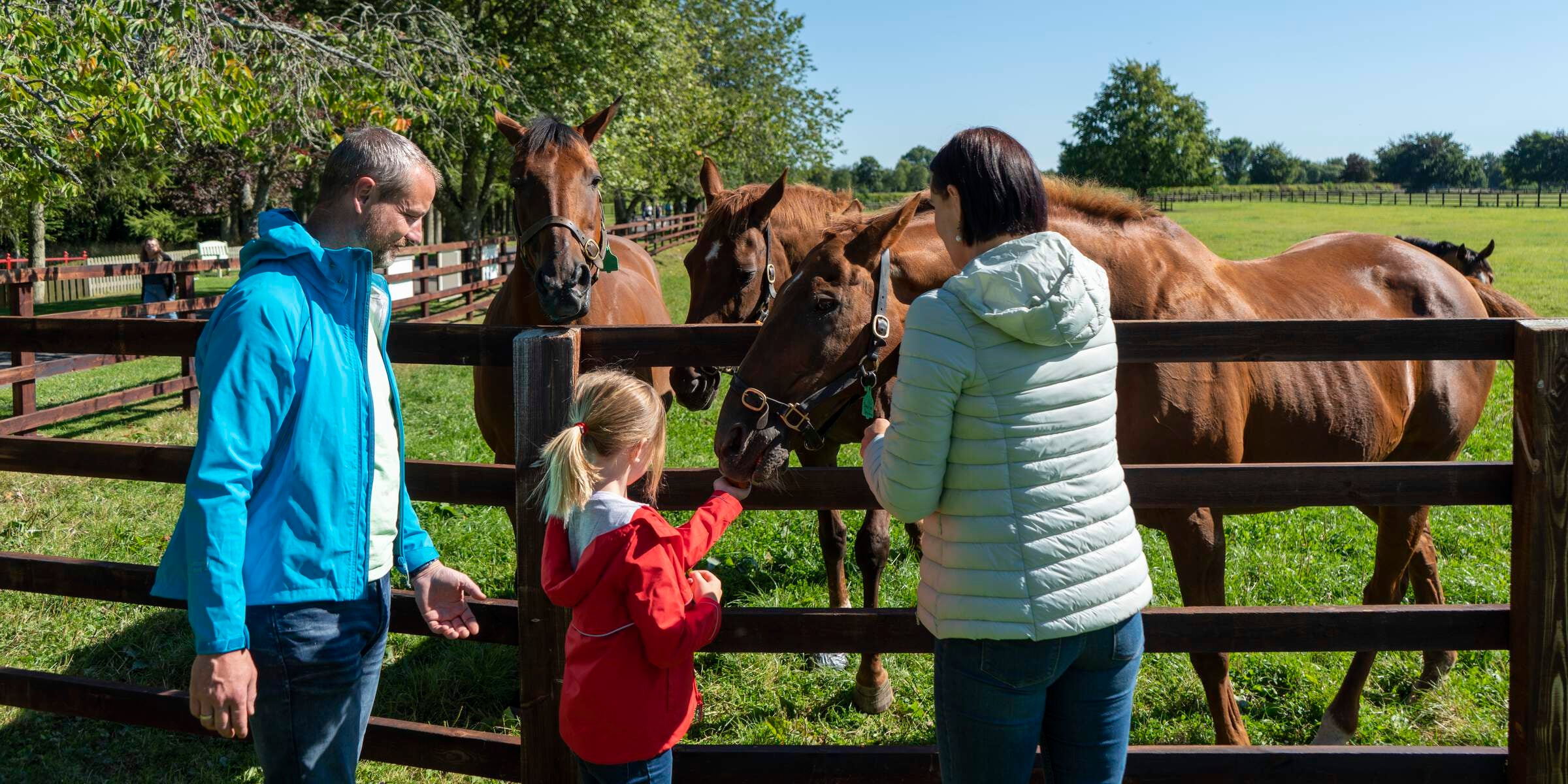 A girl feeding a horse at the Irish National Stud in Kildare.