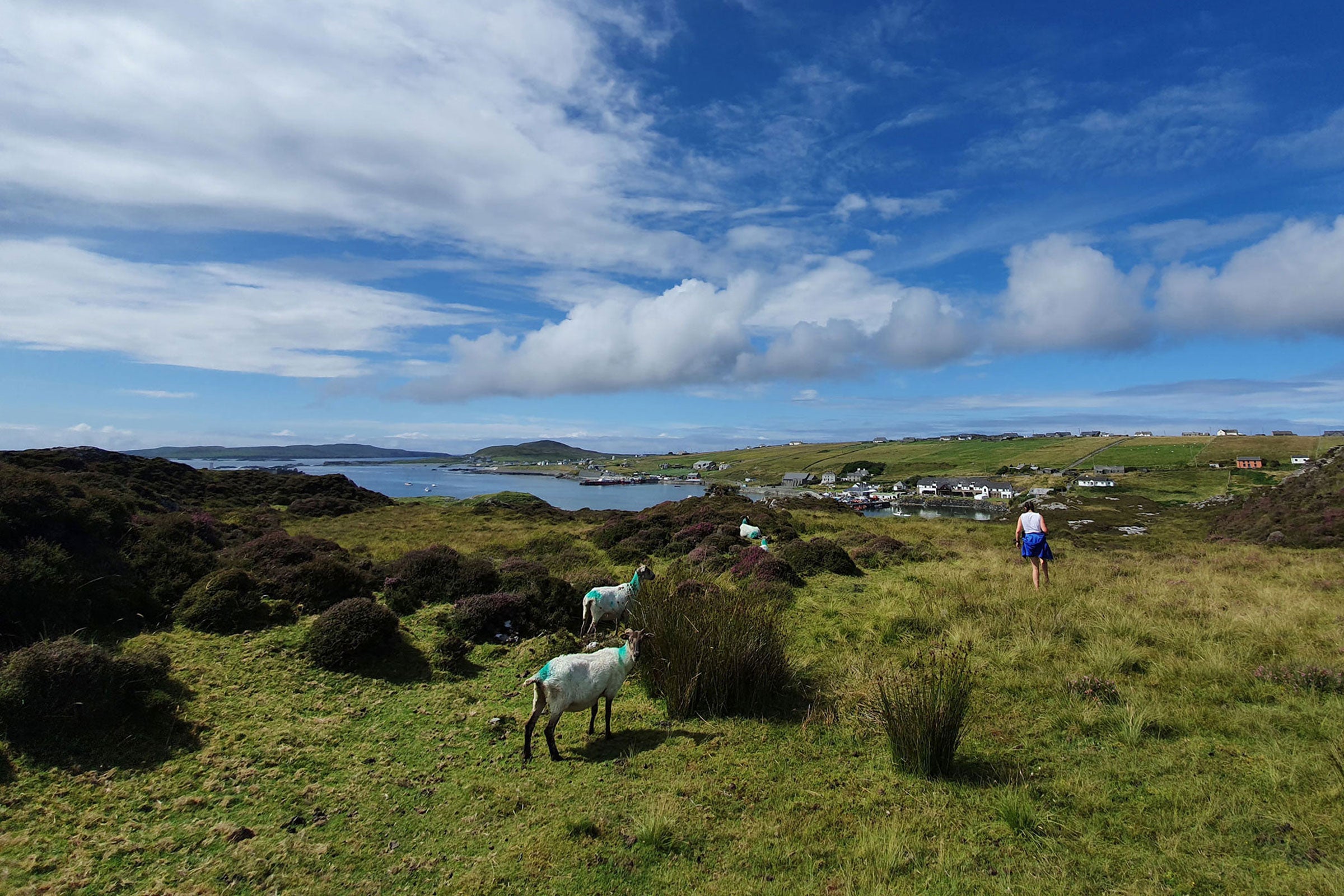 Person walking in Knock Hill, Inishbofin, Co Galway
