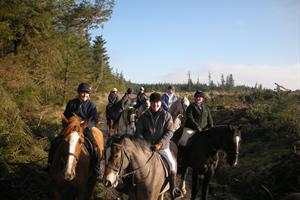 Birr Equestrian Centre