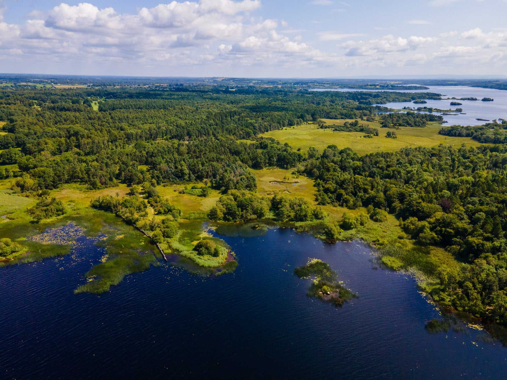Aerial view of Portumna Forest Park, Co Galway