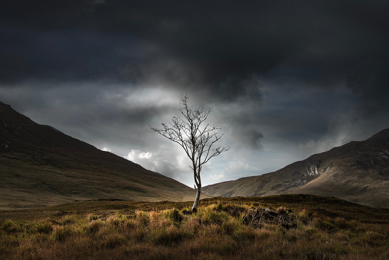 Exhibition: Dundalk Photographic Society 2026