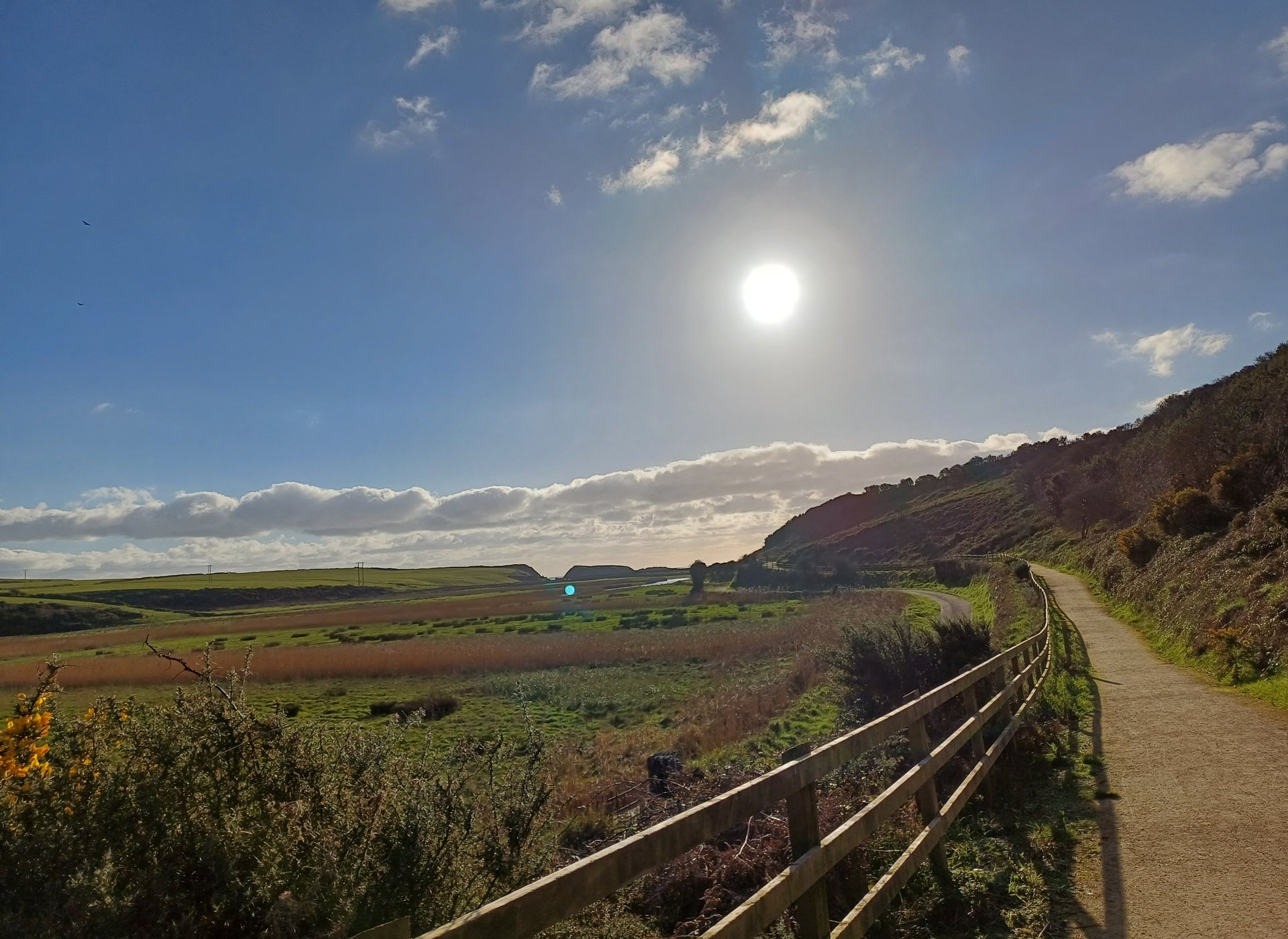 A walking path close to sunset with the sun low in the sky