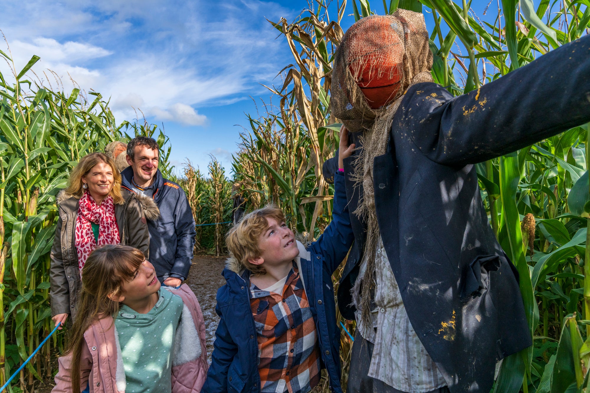 A family in a corn maze at Causey Farm in Co Meath