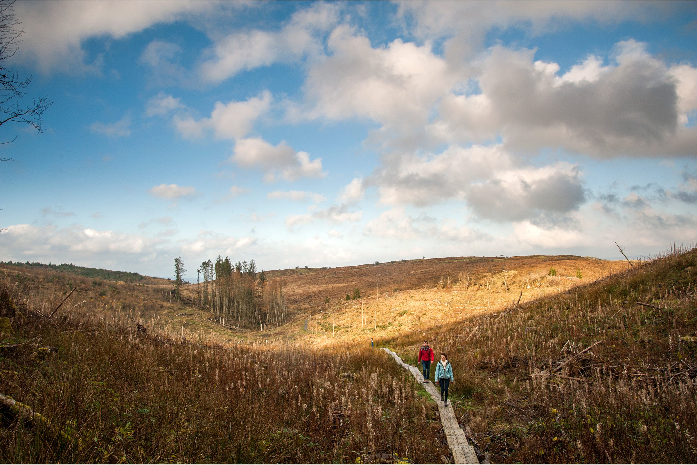 Two hikers walking on a trail in Burren Park, Cavan.