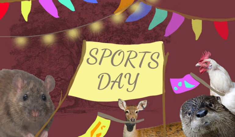 On Your Marks! a workshop at The Ark, a poster with some small animals holding up a poster.