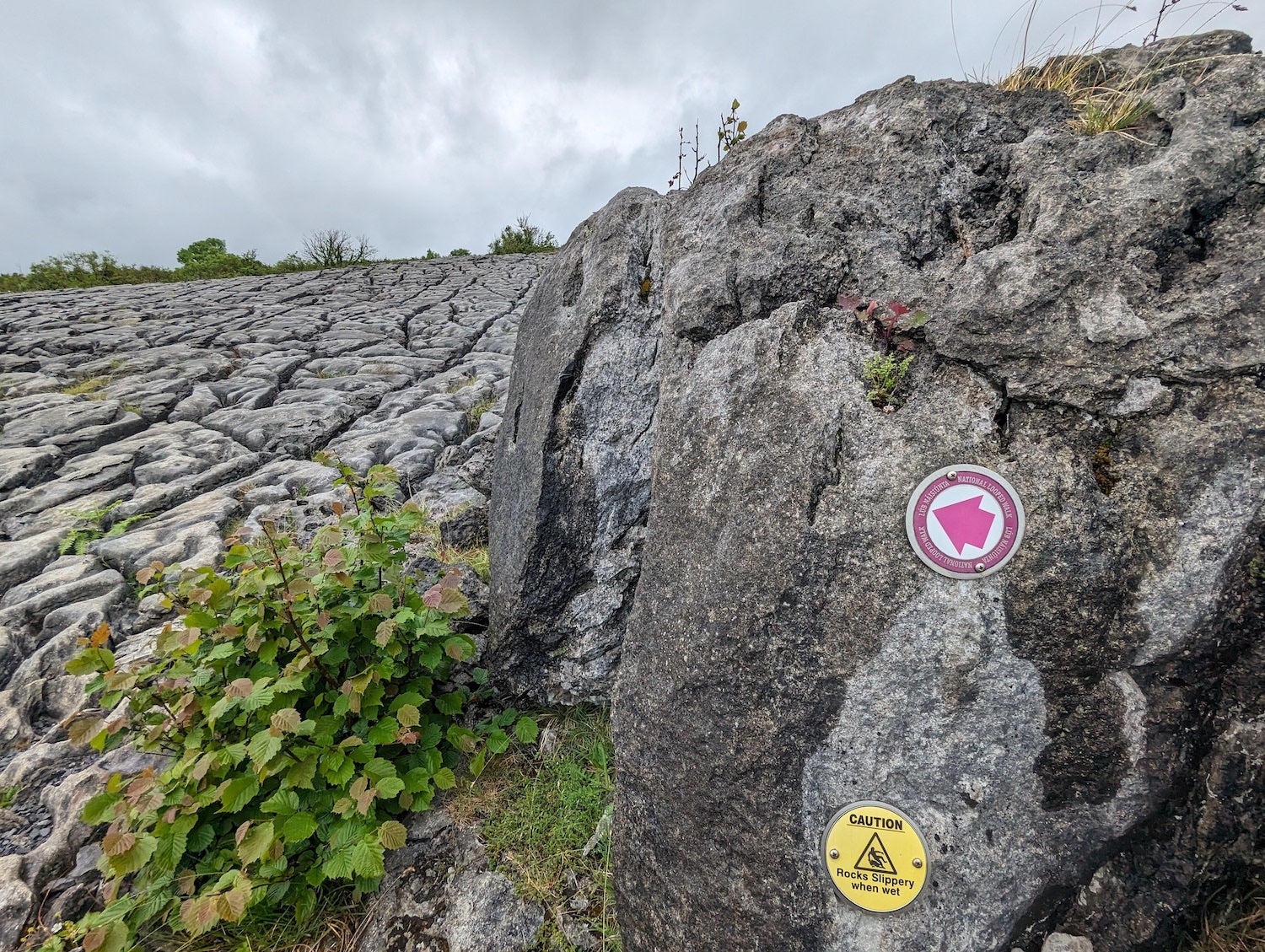 Follow the markings as you go.