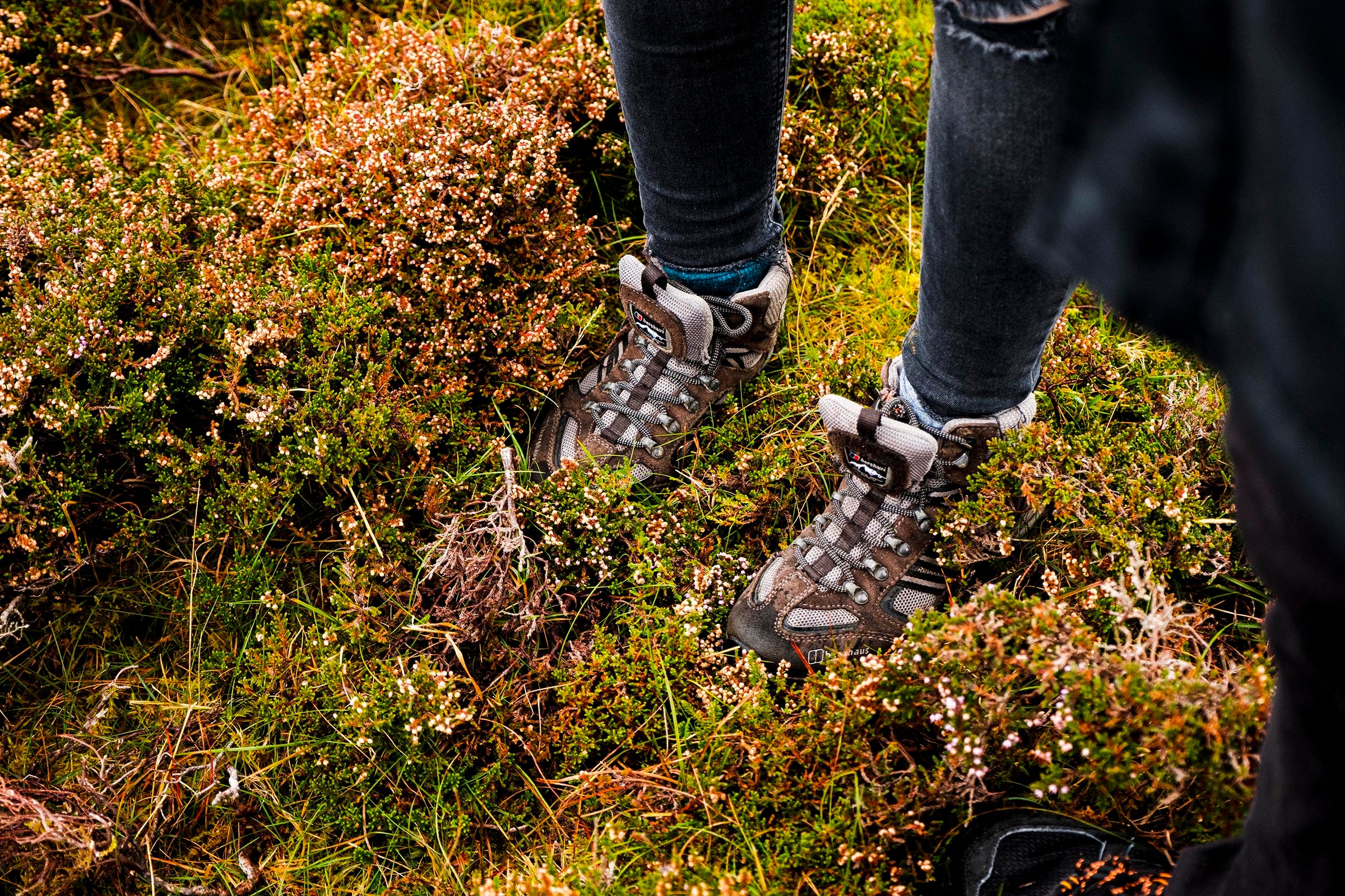 Brown boots in moss on a hiking trail