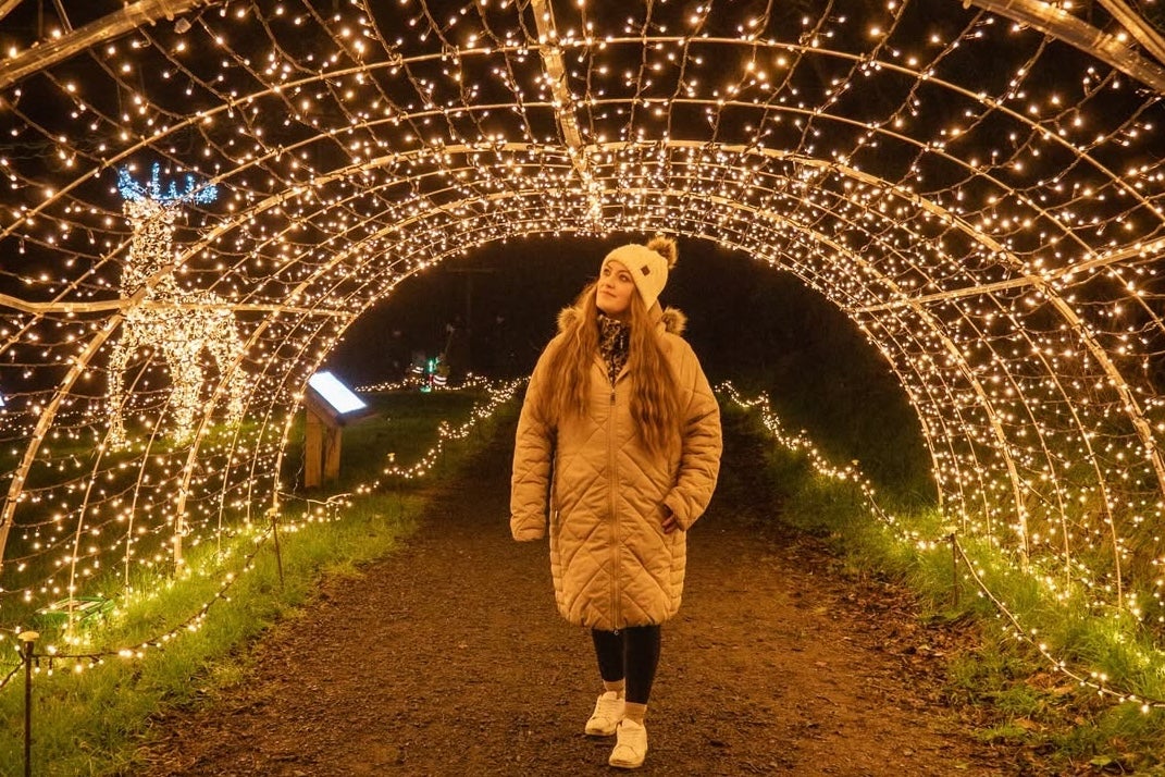 ADVENTURE LIGHTS - SKYPARK CARLINGFORD