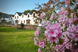 Creacon Wellness Retreat