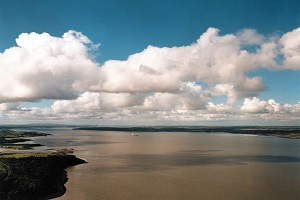 Shannon Estuary 