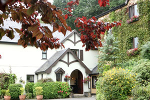 Aherlow House Hotel