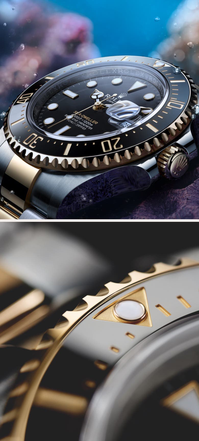 Rolex image