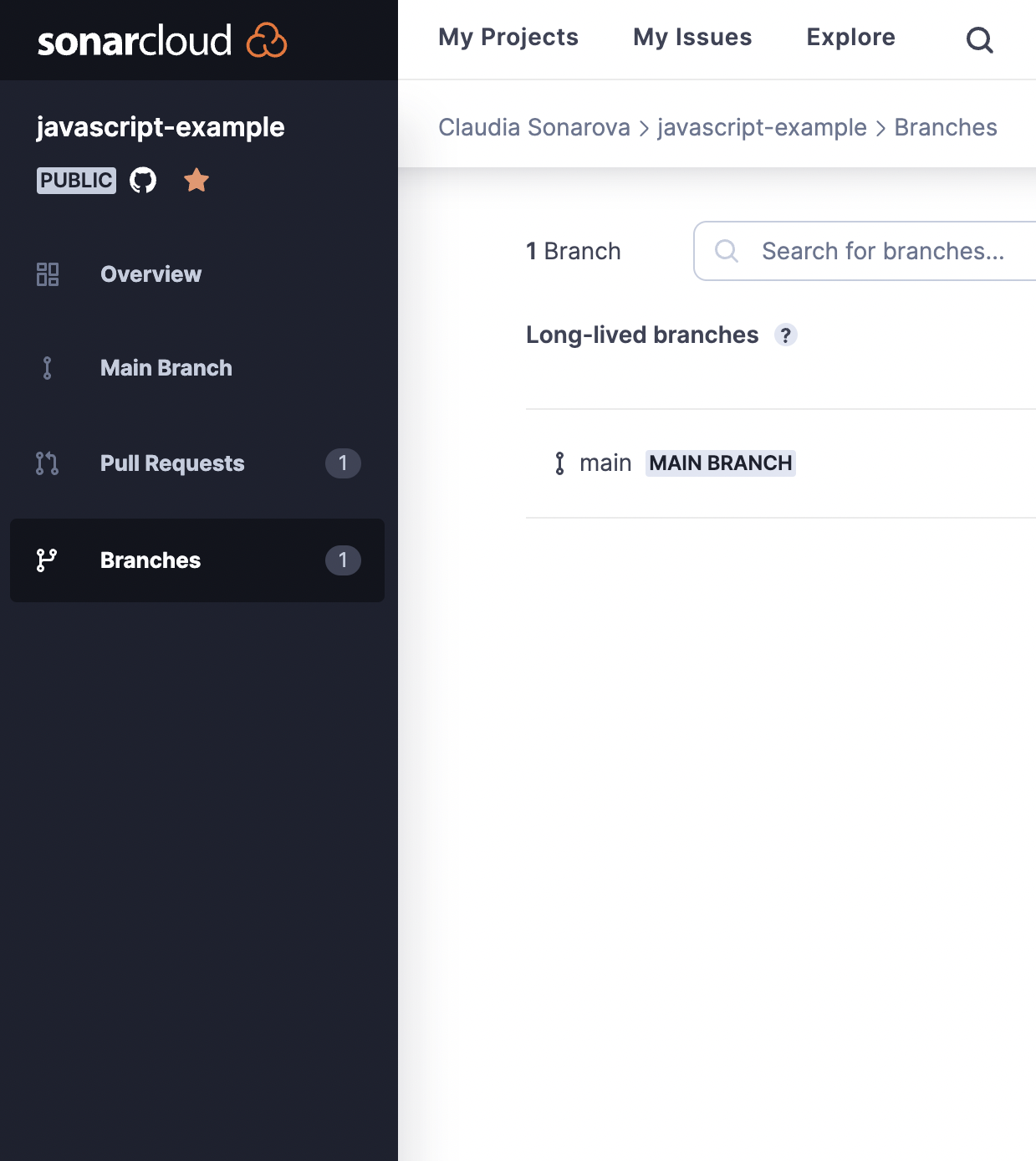 Navigate your SonarCloud project using the Overview, Main Branch, Pull Requests, and Branches pages.
