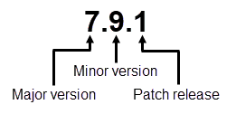 Picture explaining how to read the SonarQube version number format 