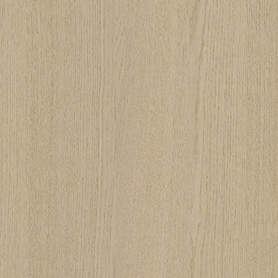 picture alternative text