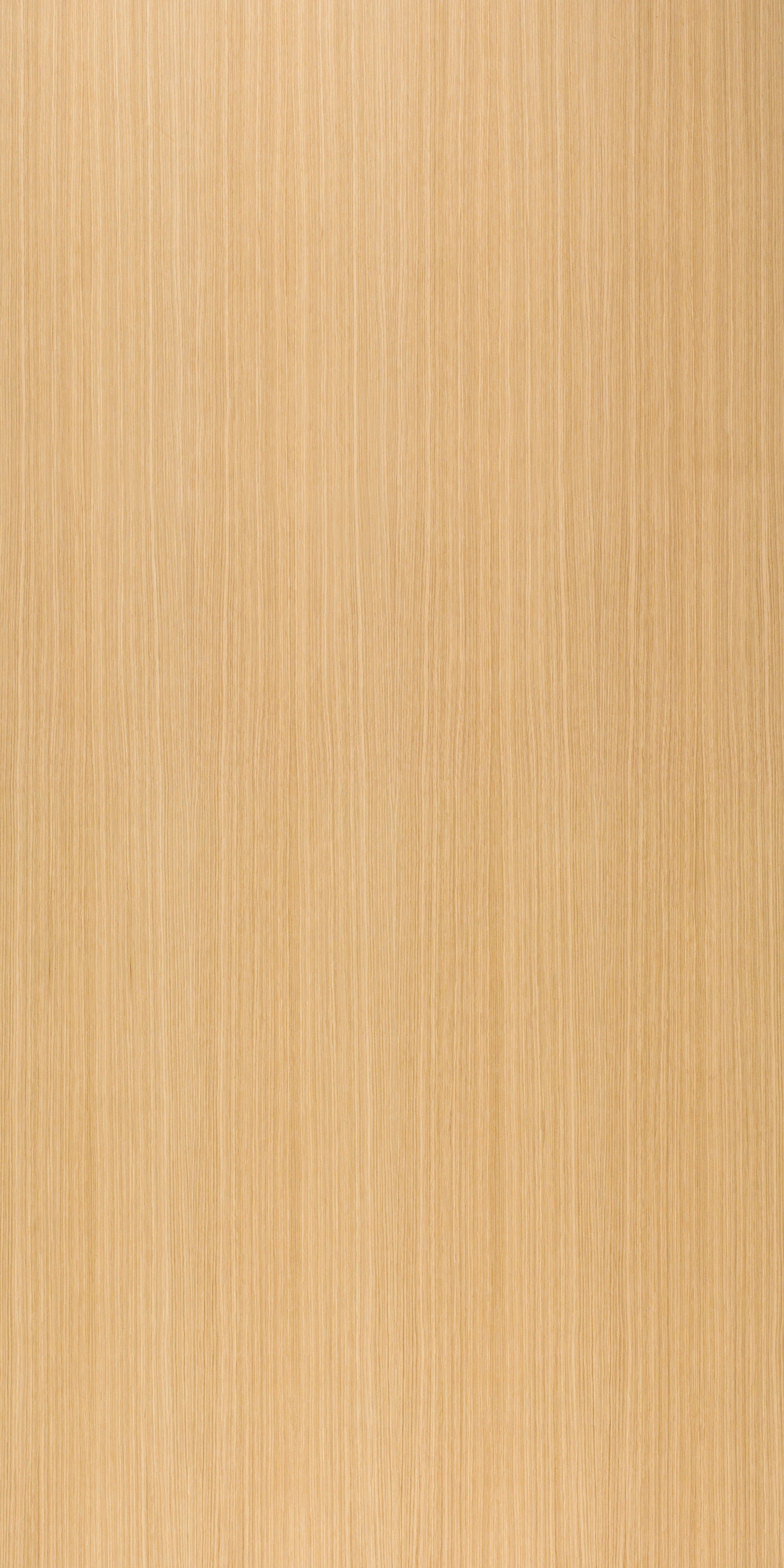 picture alternative text