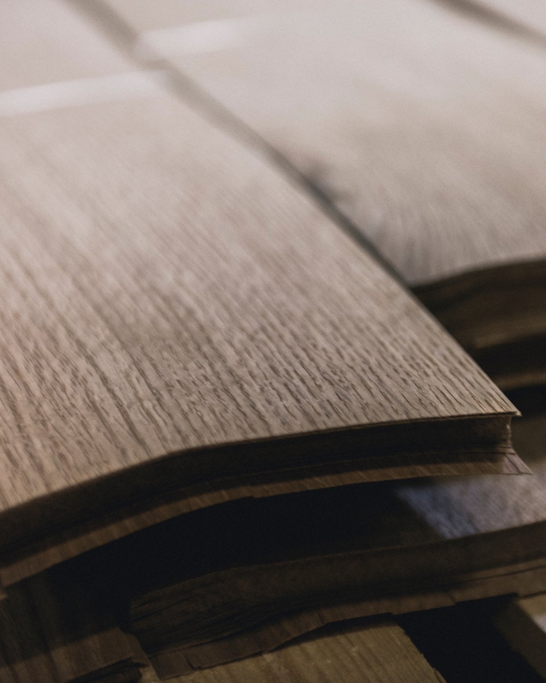 picture alternative text