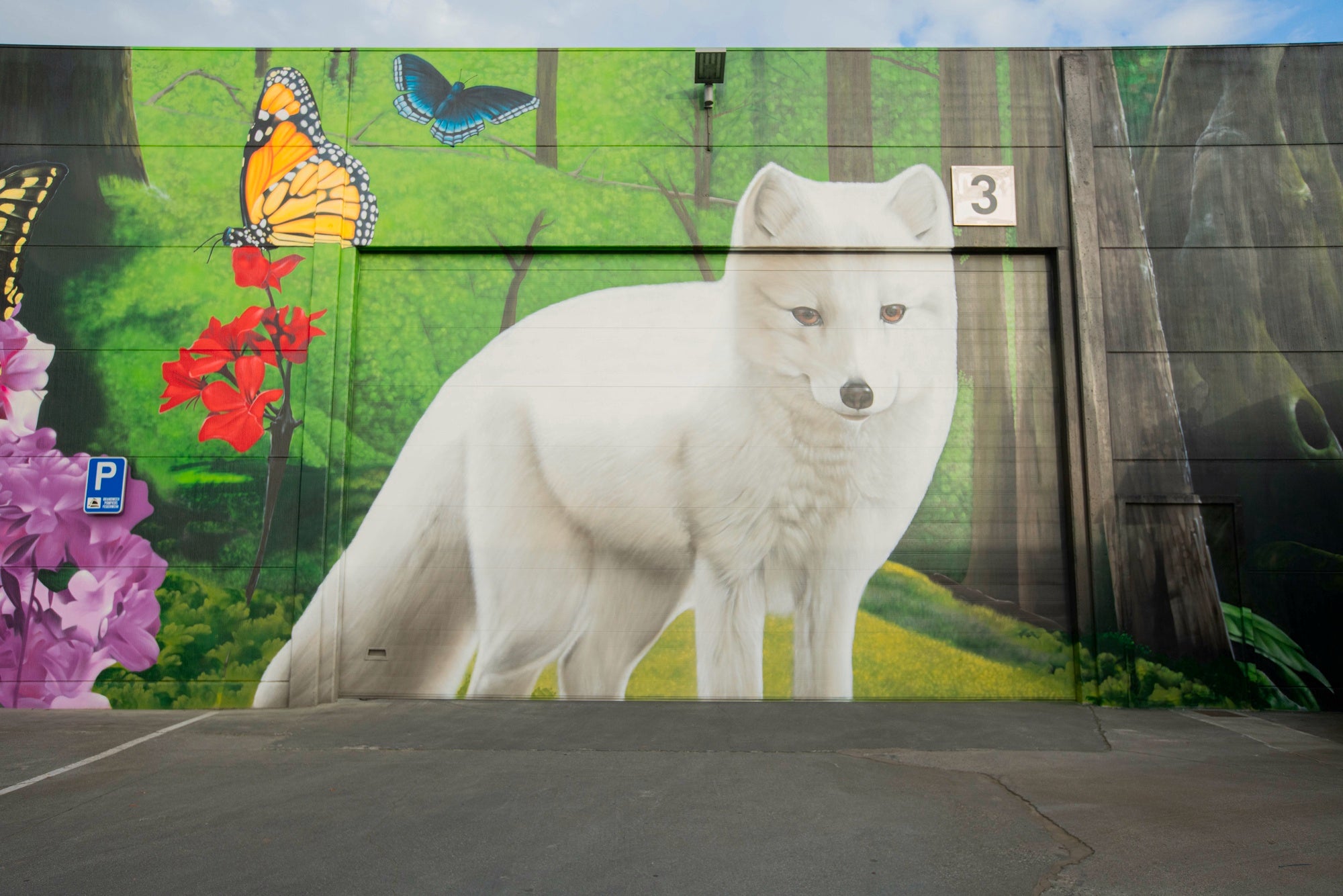 wall painting - wall painting nature