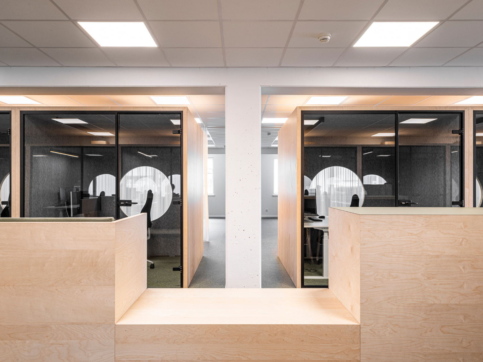 volvo trucks ghent - volvo trucks office - bright wood wall - bright wood panels