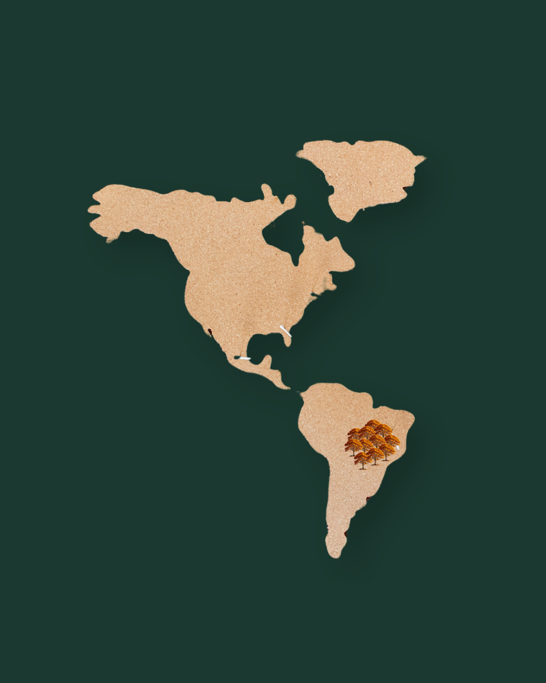 Wereldkaart die de groeiplaats van Ipe, ook bekend als Braziliaanse Walnoot, toont.