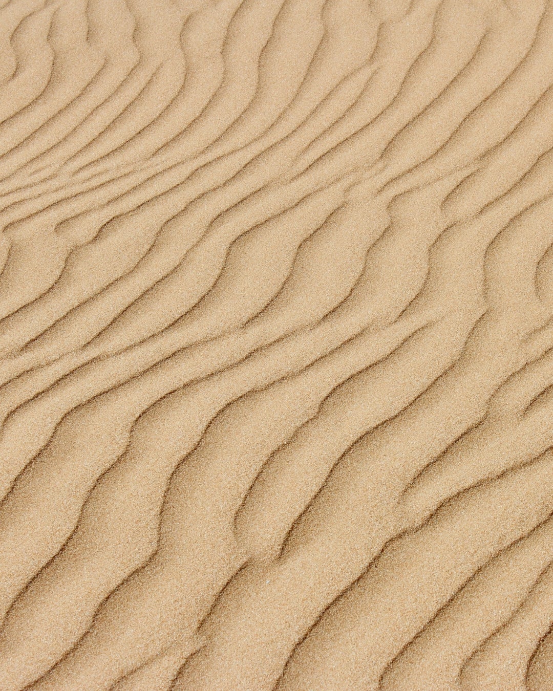 Decospan - Querkus - la nature est une texture