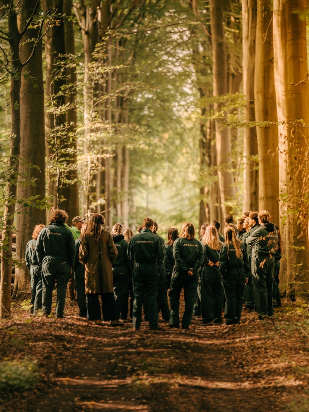 picture alternative text