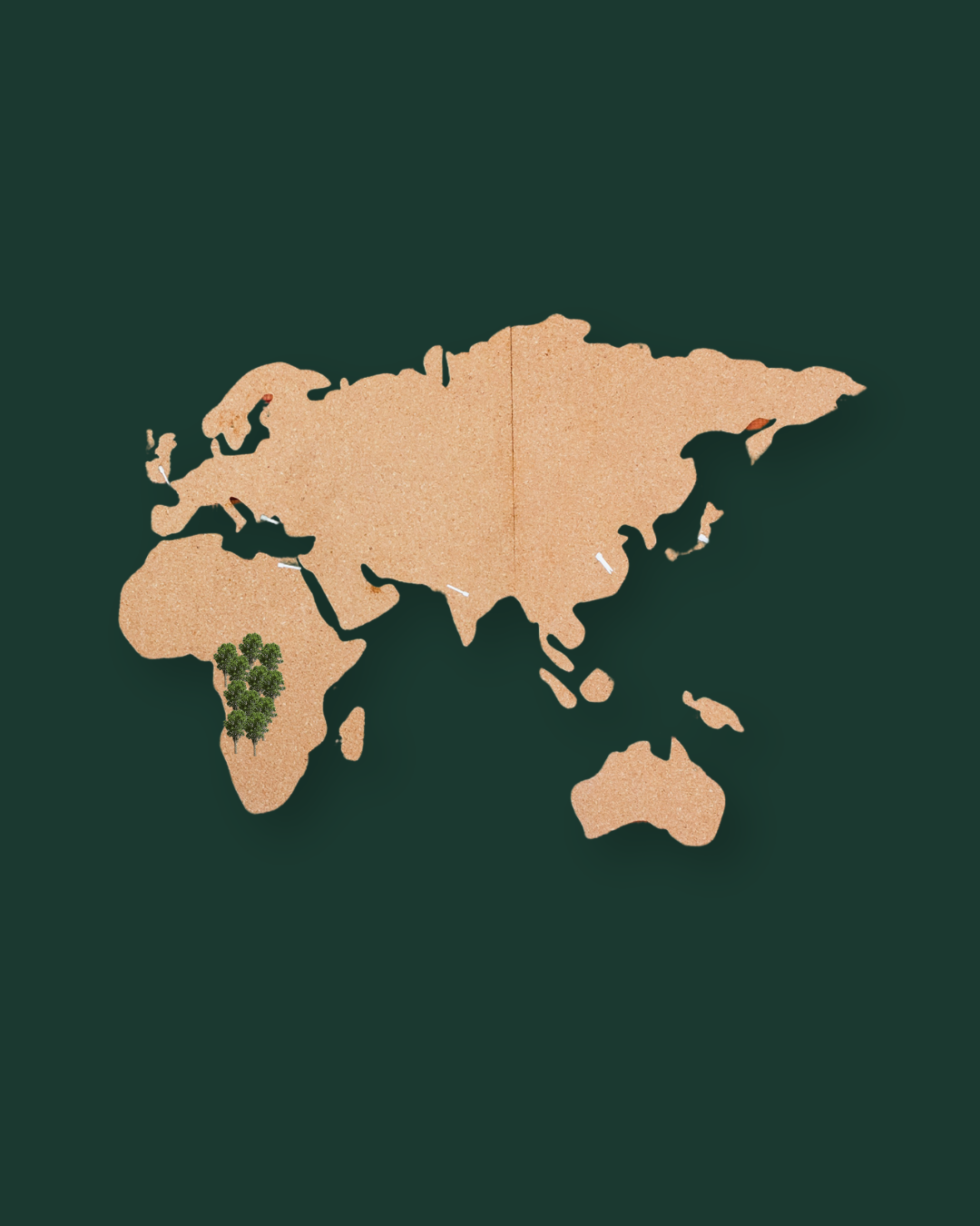 Carte mondiale montrant les lieux de croissance du Noyer Africain.