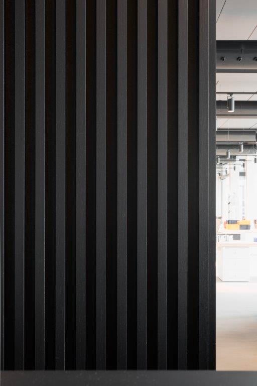 picture alternative text