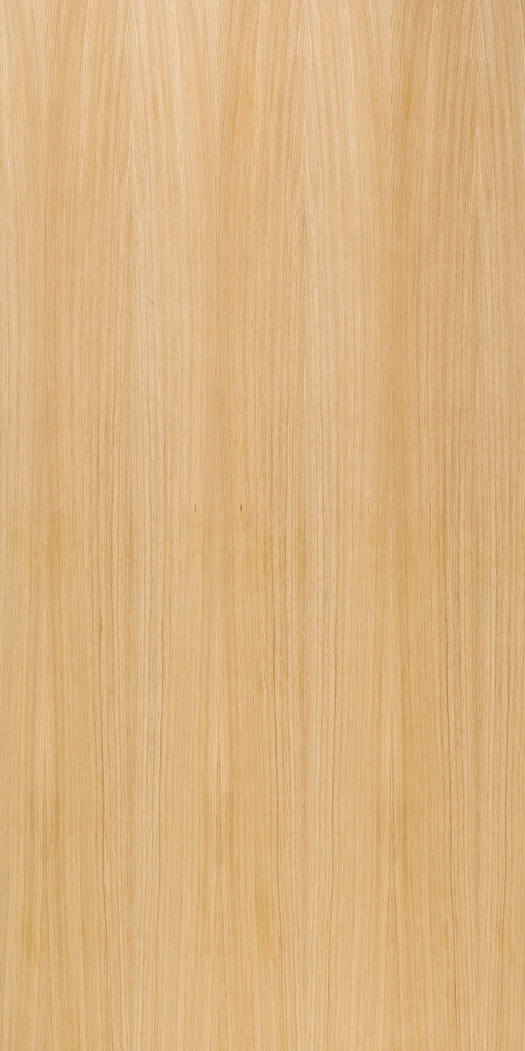 picture alternative text