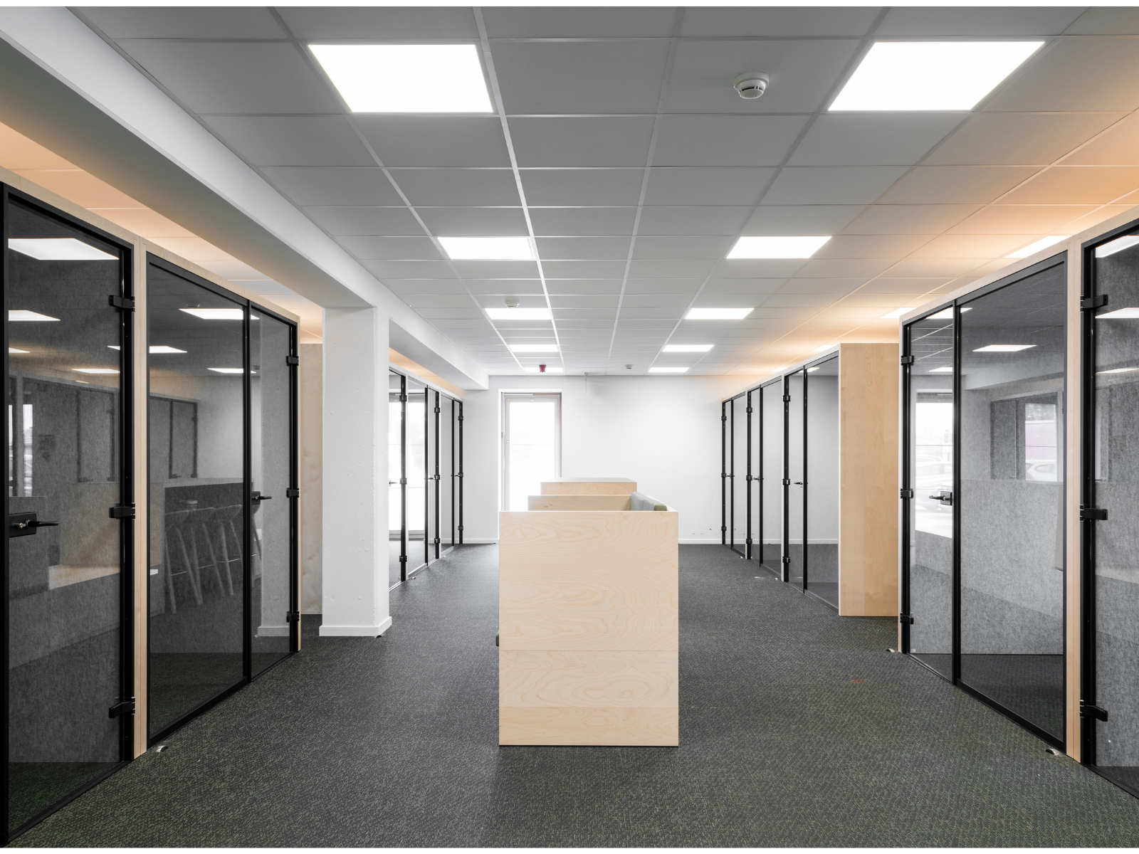 volvo trucks ghent - volvo trucks office - office pods - bright wood wall - bright wood panels