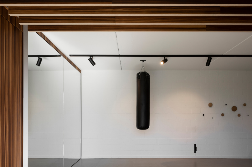 wood ceiling - wood ceiling decoration - larch - autumn larch - gym - Nordus