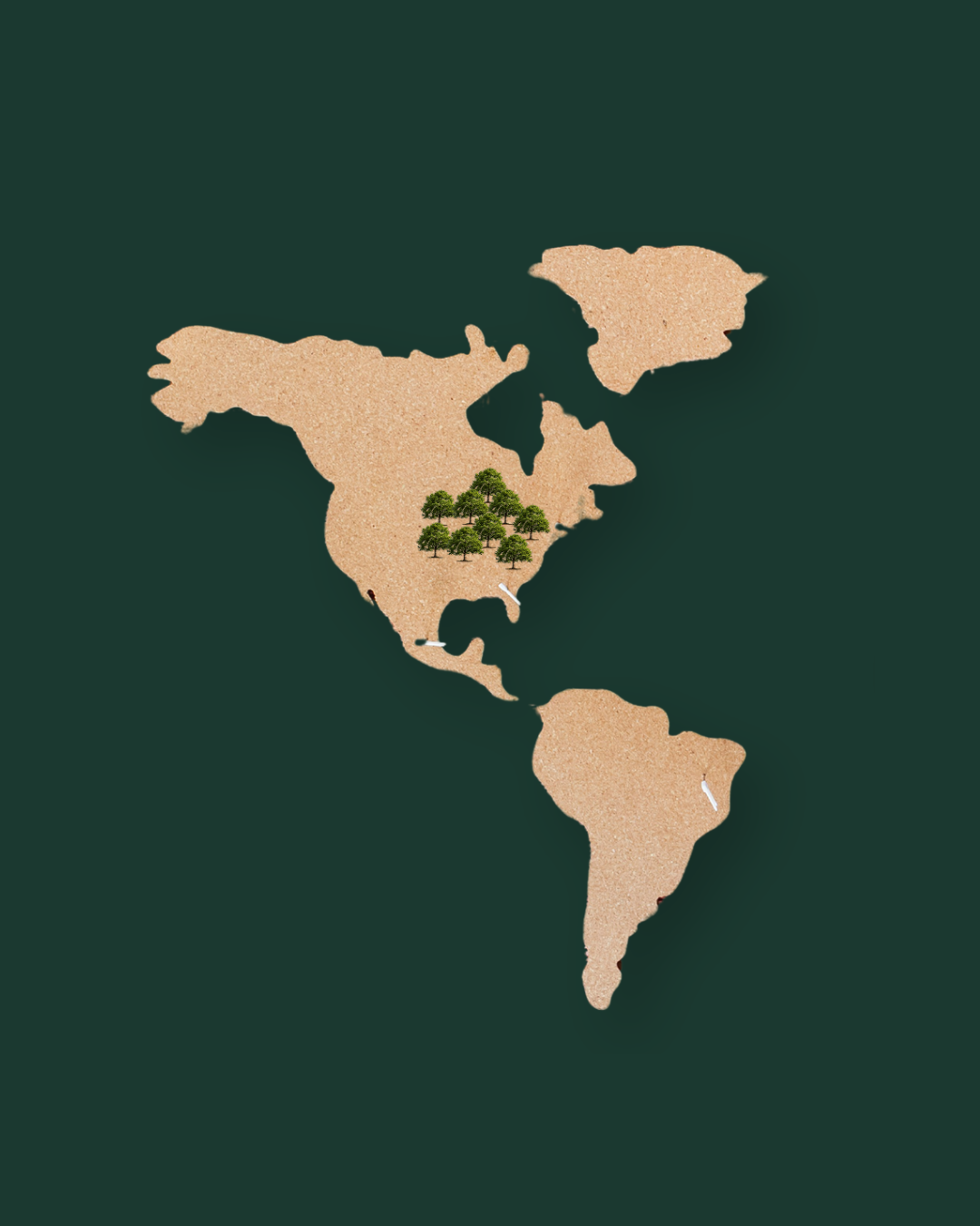 Wereldkaart die toont waar Amerikaanse walnoot groeit.