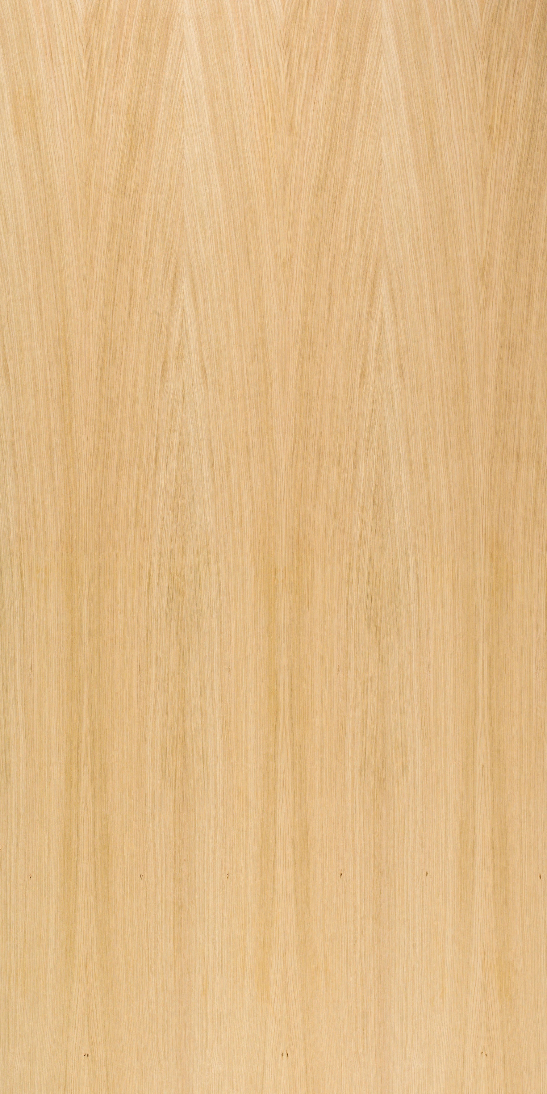 picture alternative text