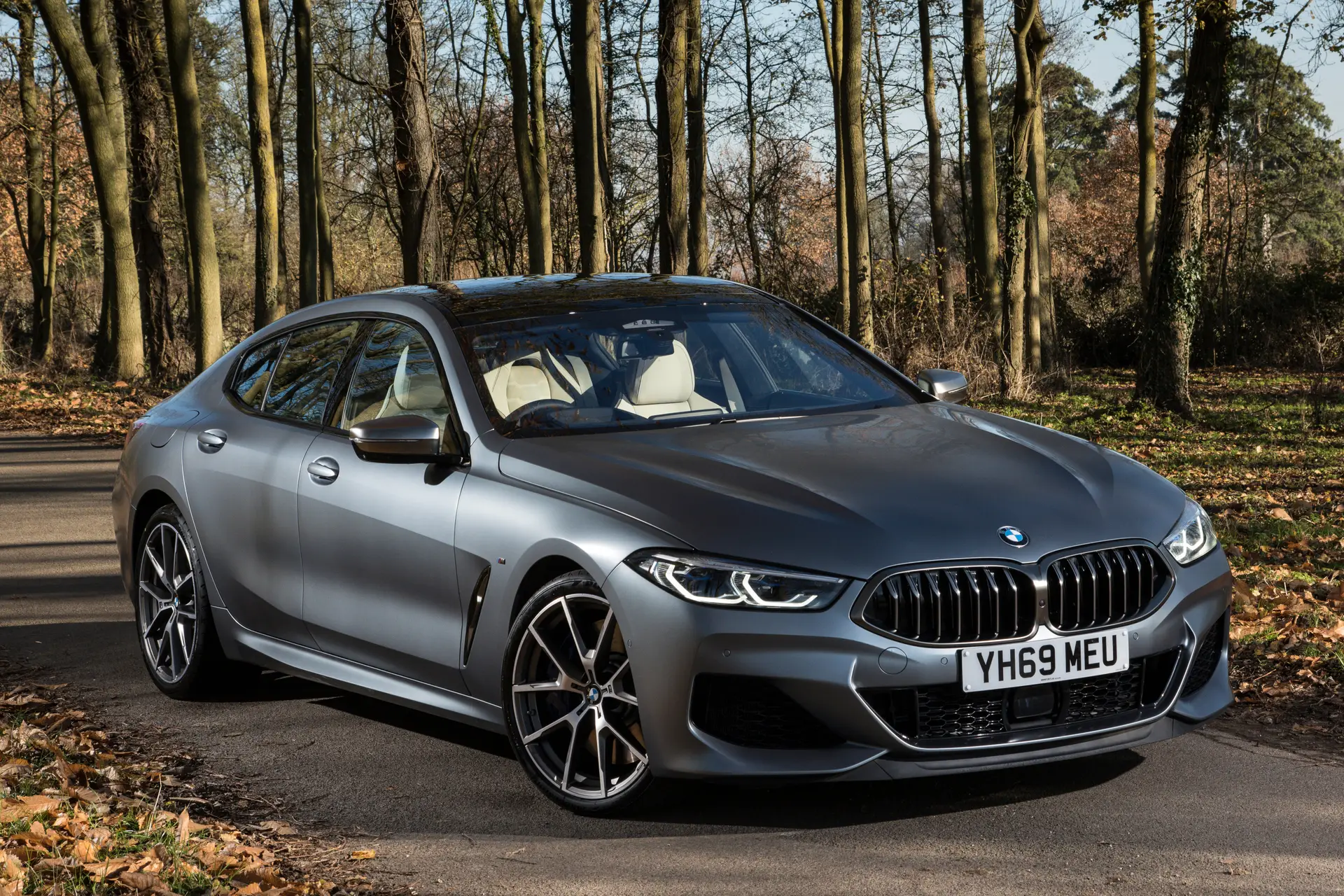 BMW 8 Series Gran Coupe Review 2023: Driving Front