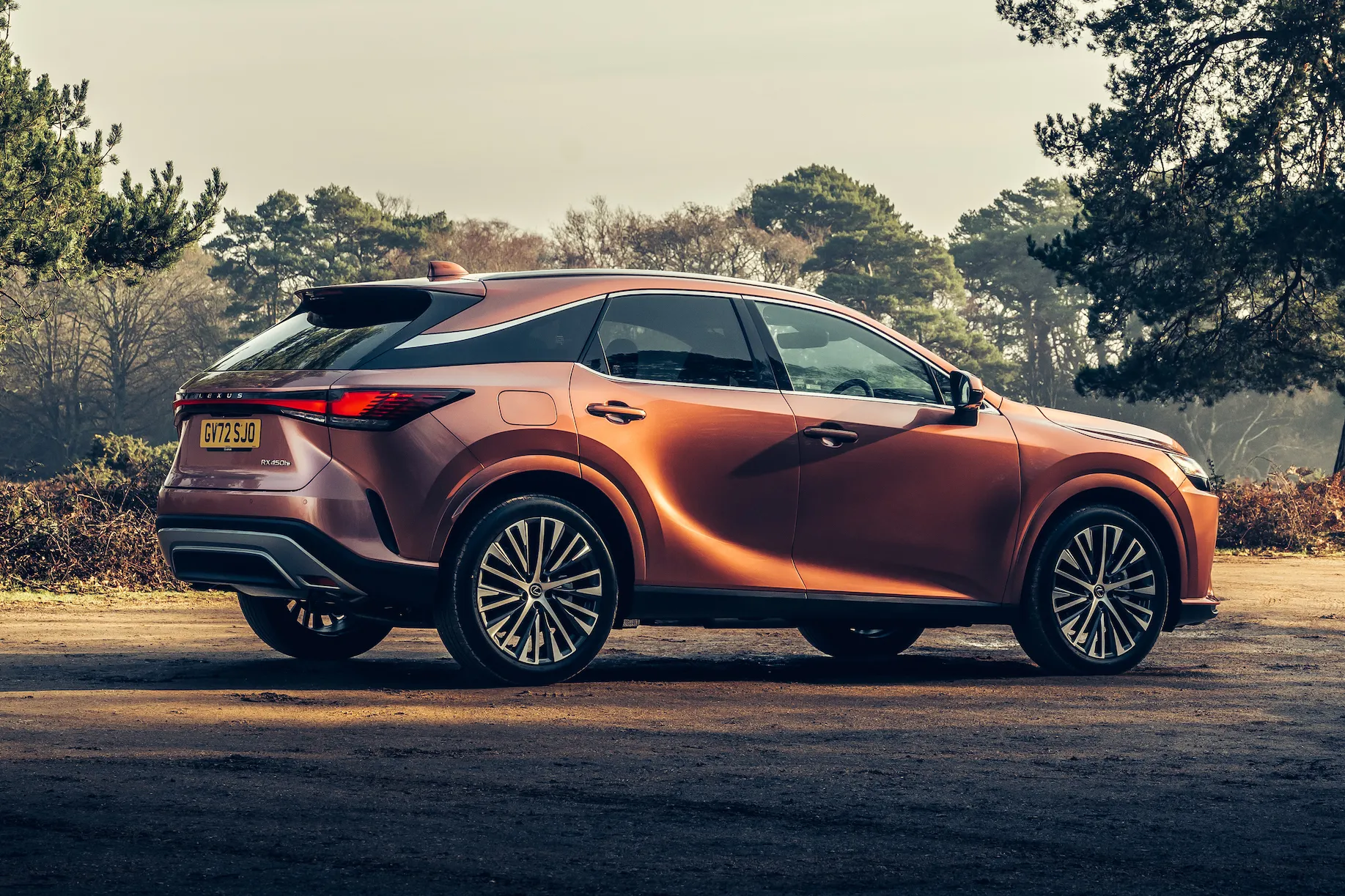 Lexus RX Review: static