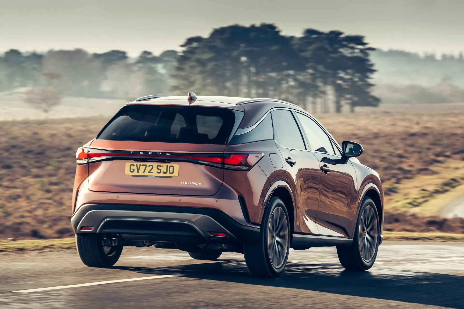 Lexus RX Review: dynamic driving