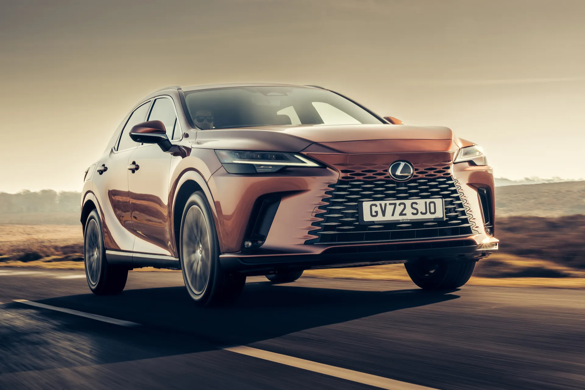 Lexus RX Review: dynamic driving