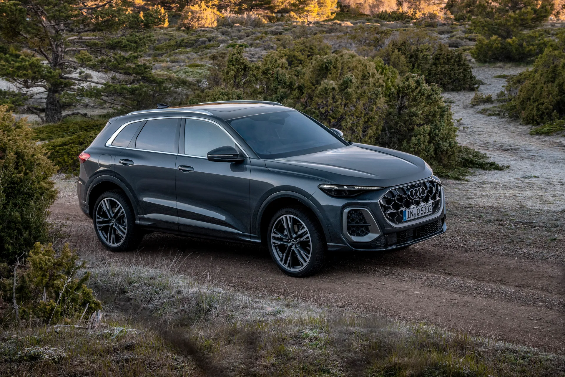 Audi Q5 Review: driving dynamic off road