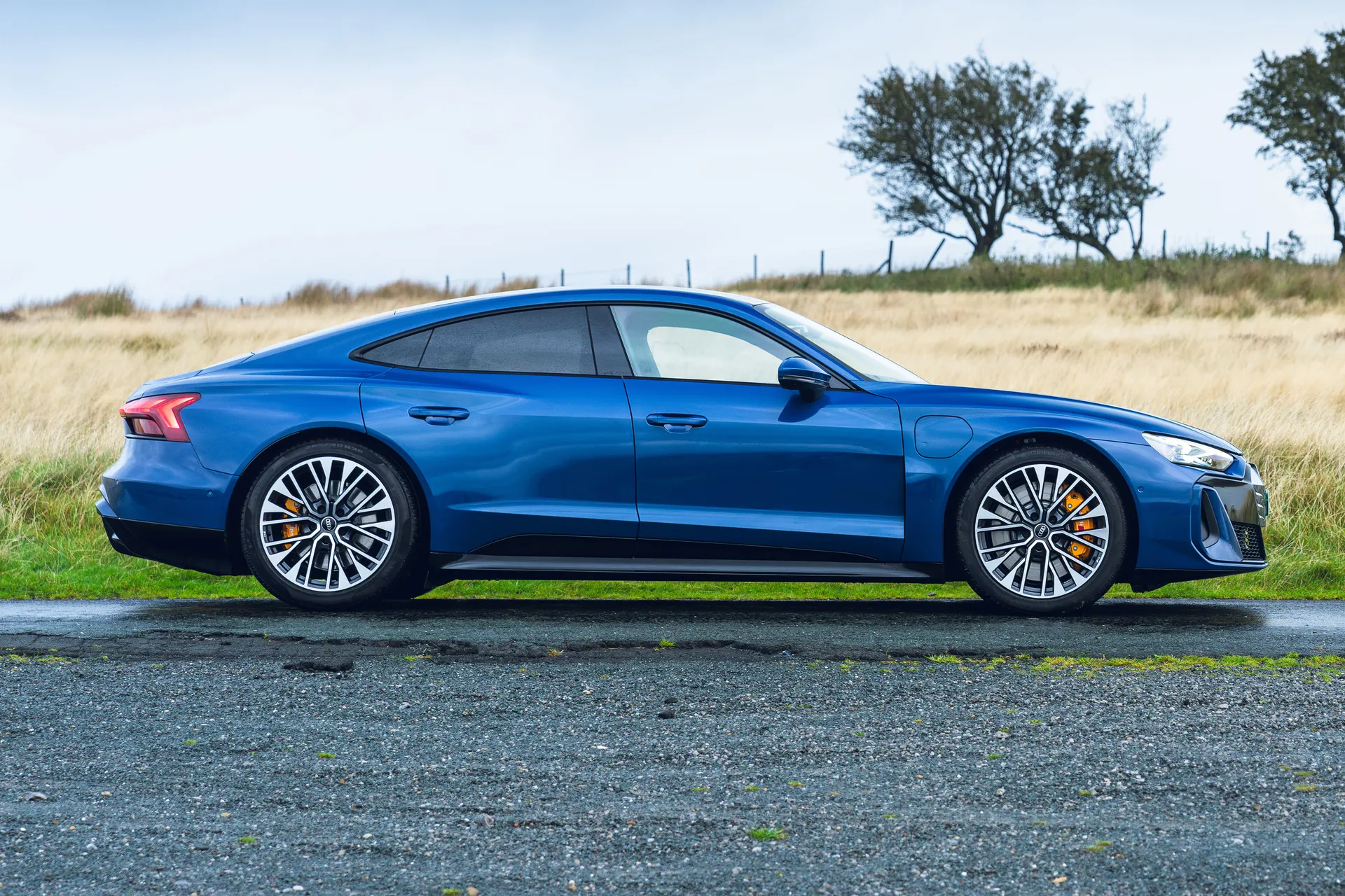 Audi e-tron GT Review: side profile