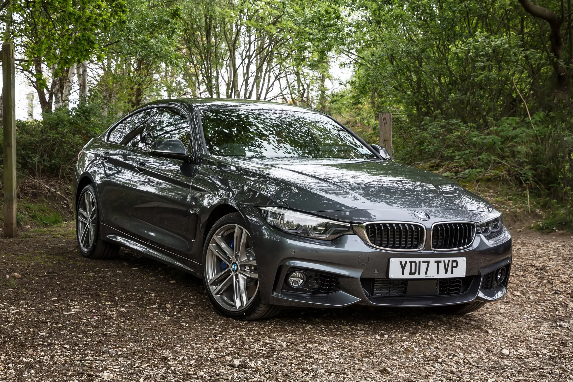 BMW 4 Series Gran Coupe Exterior Front 