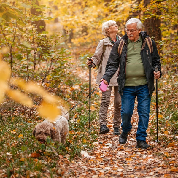 Oudere man en vrouw lopen met een hond door het bos.